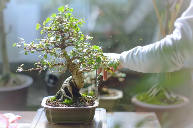 como podar bonsai